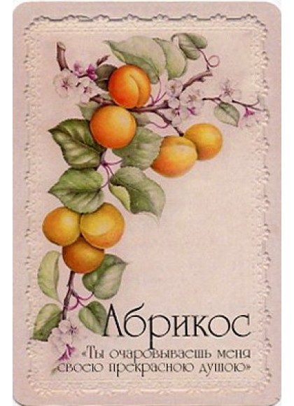 Оракул «Селам или Язык Цветов»